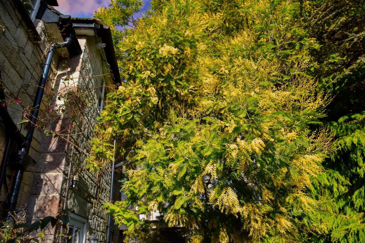 沃德大道住宿加早餐旅馆 考斯 外观 照片